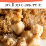 Scallop Casserole Recipe