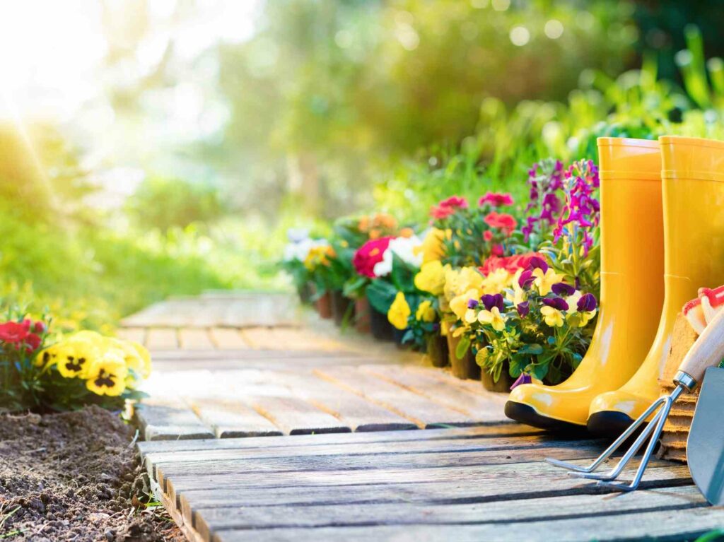 Improve Your Garden Space