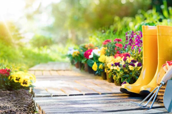 Here's How You Can Improve Your Garden Space