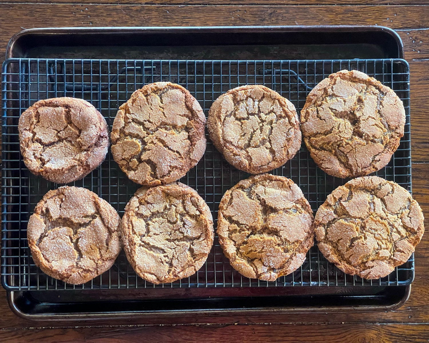 8 ginger snaps with beautifully cracked tops