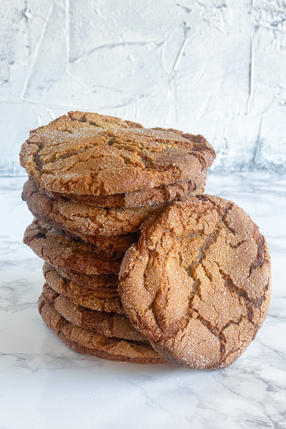 Garam Masala Gingerbread Cookies Recipe