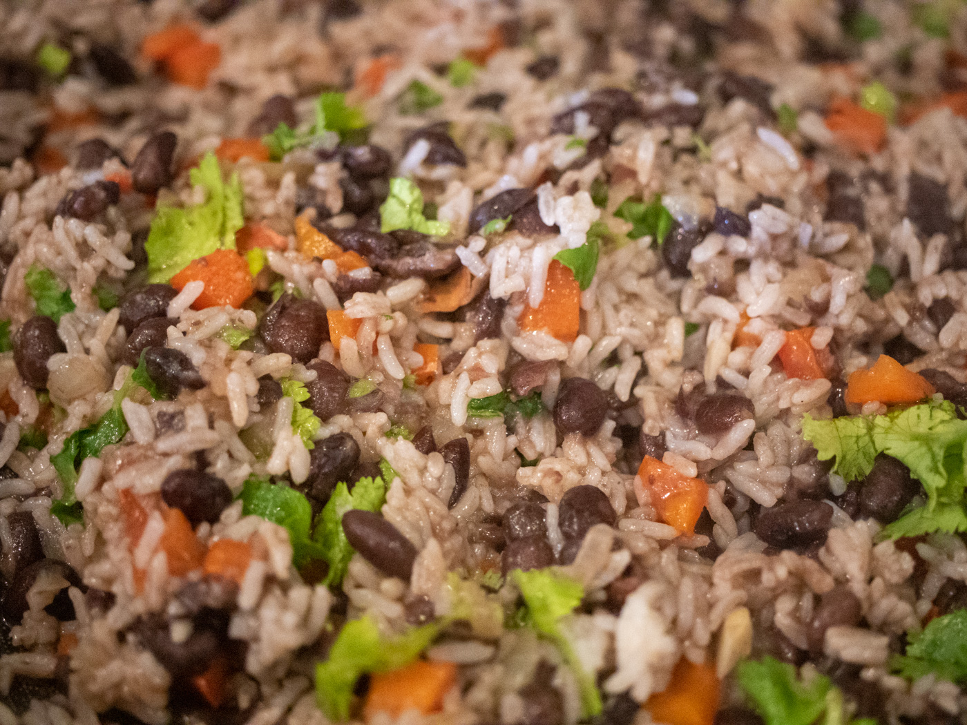 Gallo pinto cooking step 4