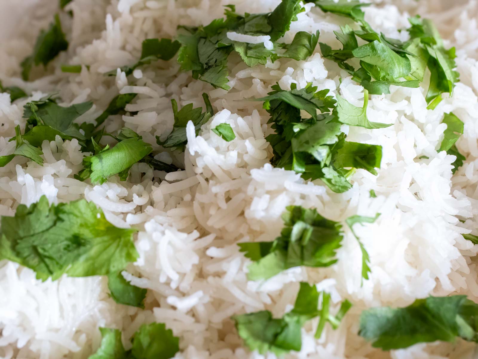 Closeup of Chipotle cilantro rice